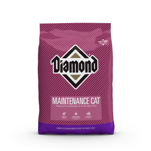 maintenance-cat
